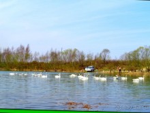 И  в  этом  есть  очарование.