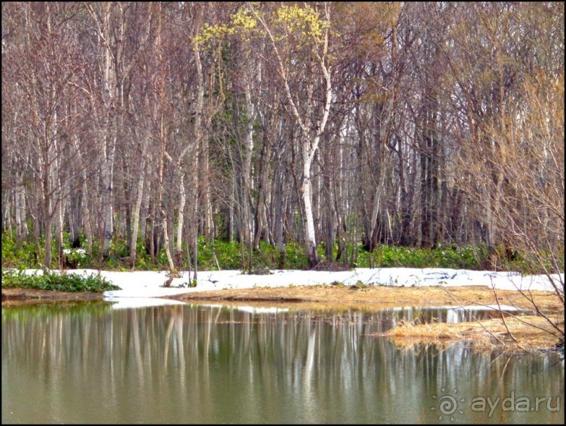 И  в  этом  есть  очарование.