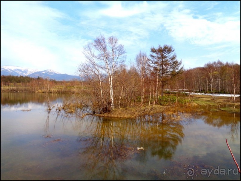 И  в  этом  есть  очарование.