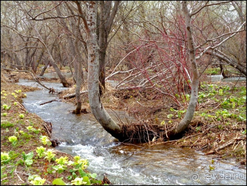 И  в  этом  есть  очарование.