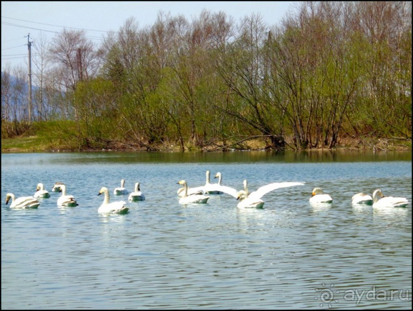 И  в  этом  есть  очарование.