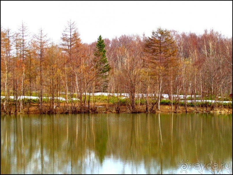 И  в  этом  есть  очарование.