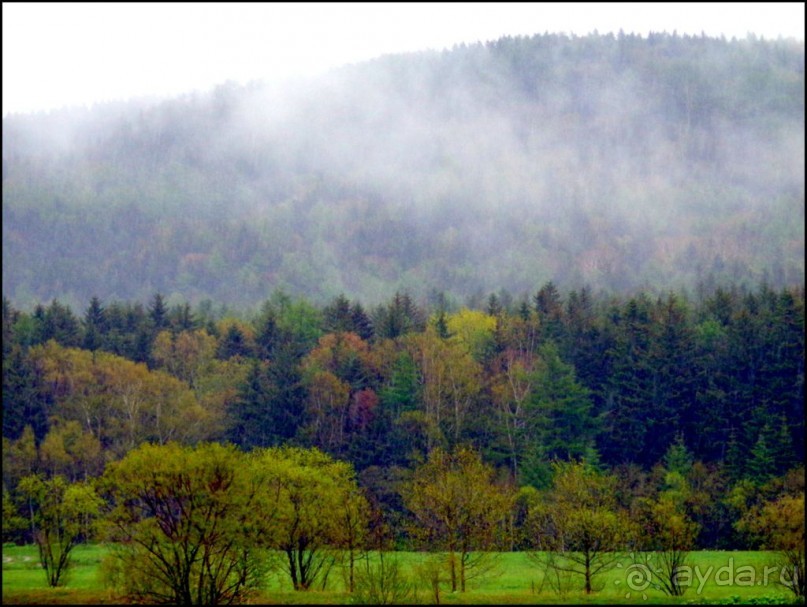 И  в  этом  есть  очарование.