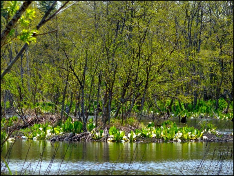 И  в  этом  есть  очарование.