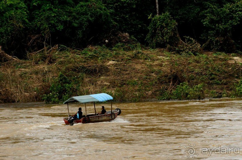 Альбом отзыва "Несостявщийся   трек..."