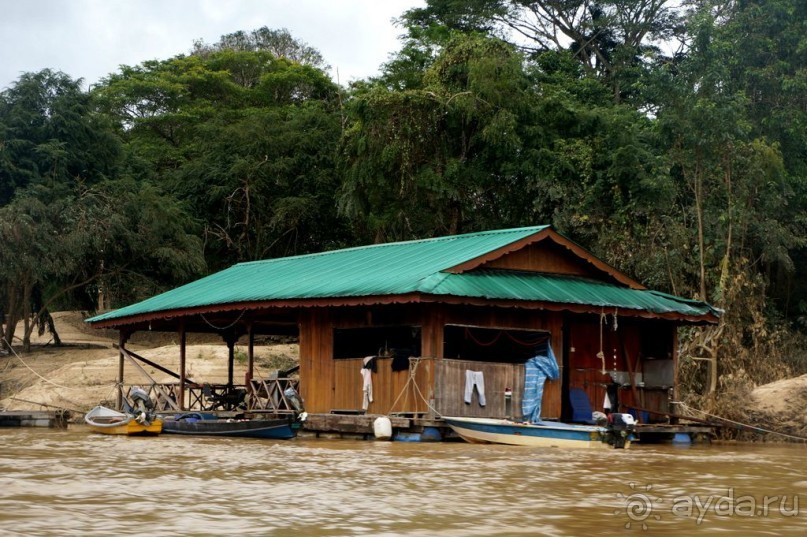 Альбом отзыва "Несостявщийся   трек..."
