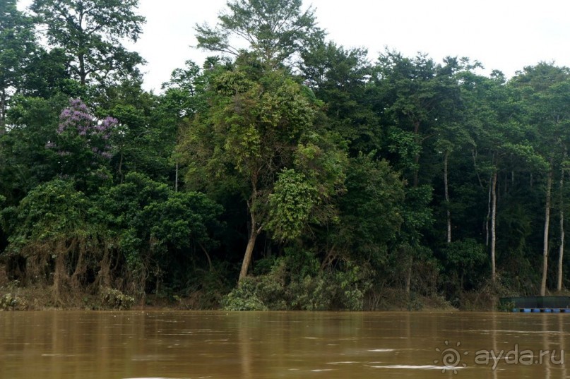 Несостявщийся   трек...