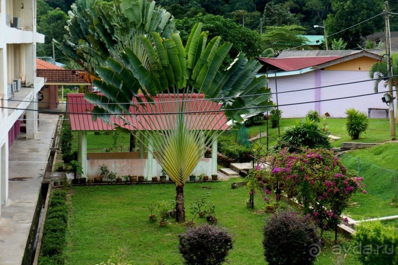 Несостявщийся   трек...