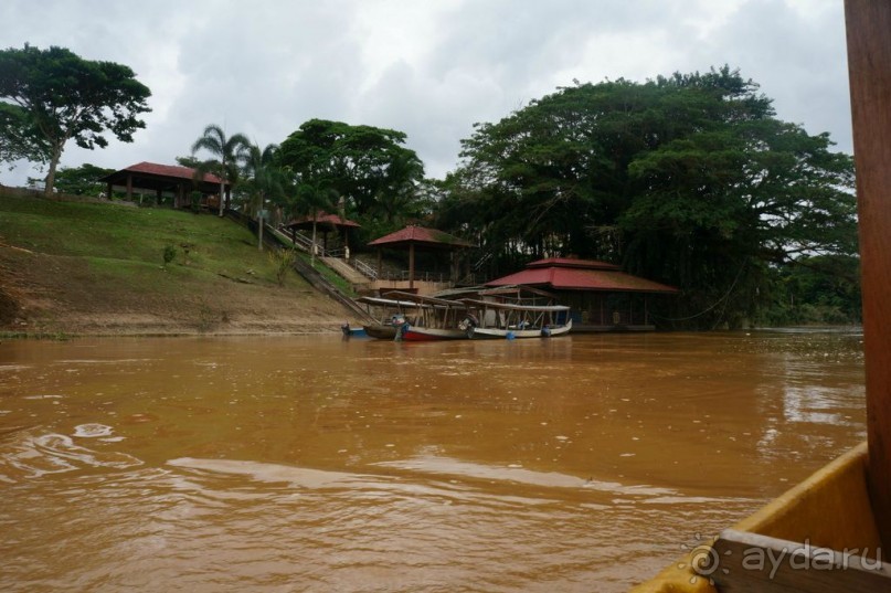 Несостявщийся   трек...