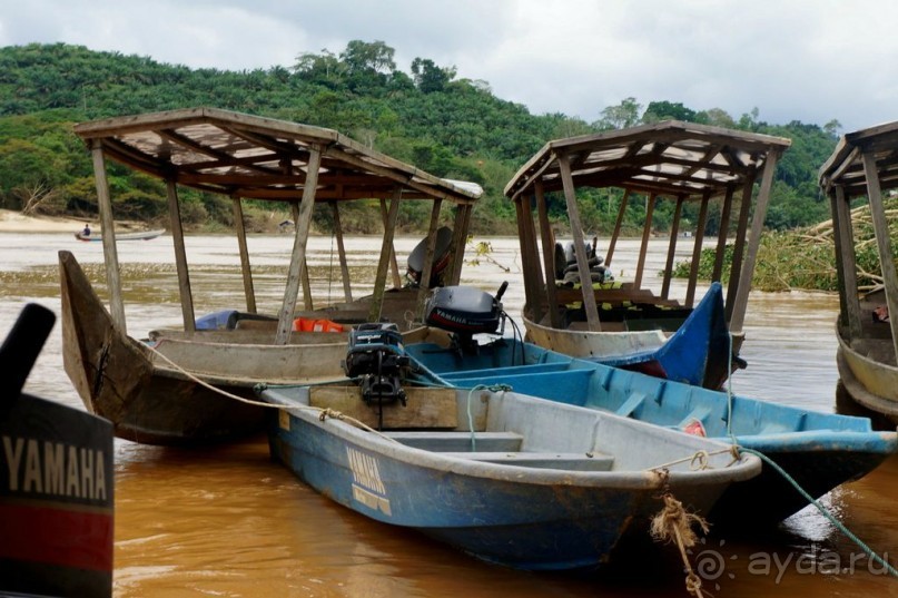 Несостявщийся   трек...