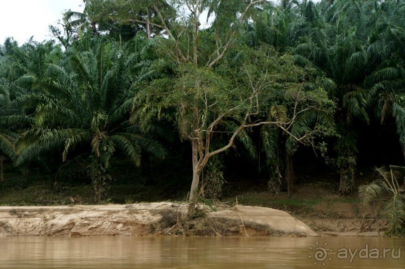 Несостявщийся   трек...