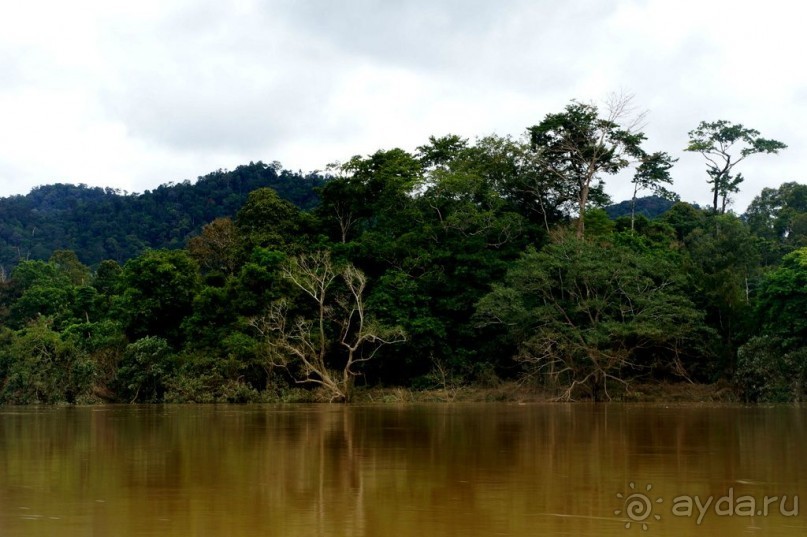 Несостявщийся   трек...