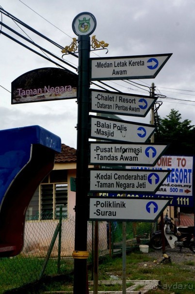 Несостявщийся   трек...