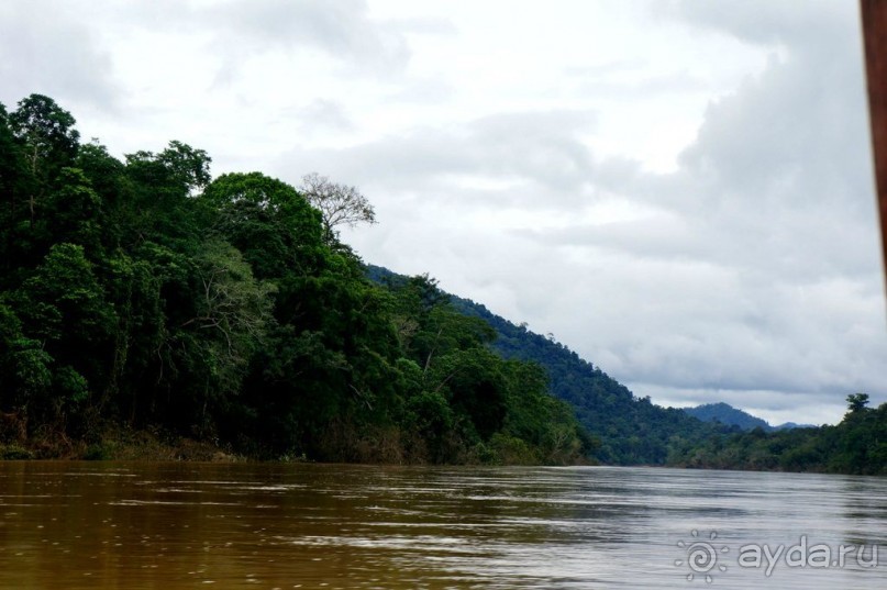 Несостявщийся   трек...