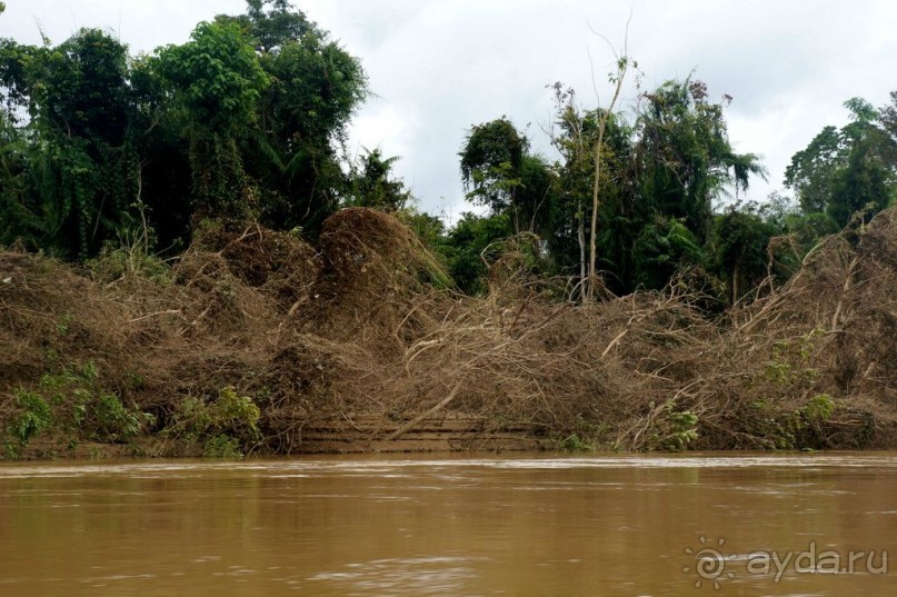 Несостявщийся   трек...