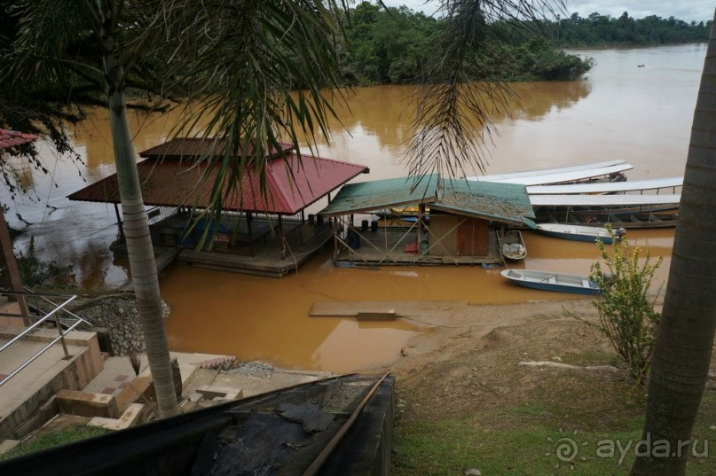Несостявщийся   трек...