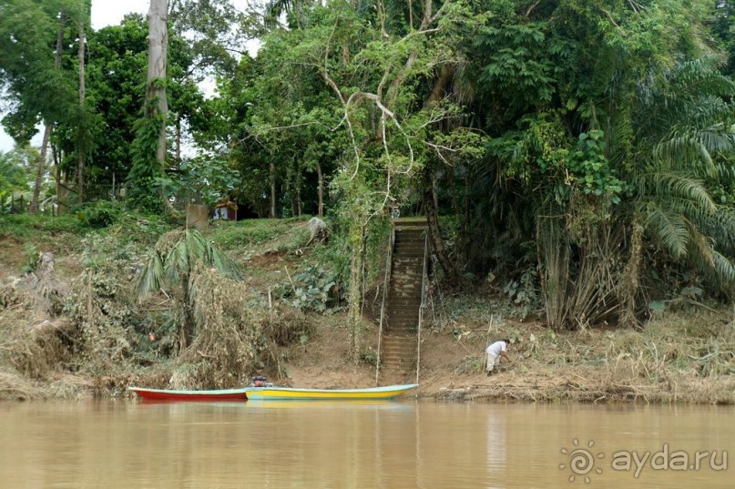 Несостявщийся   трек...