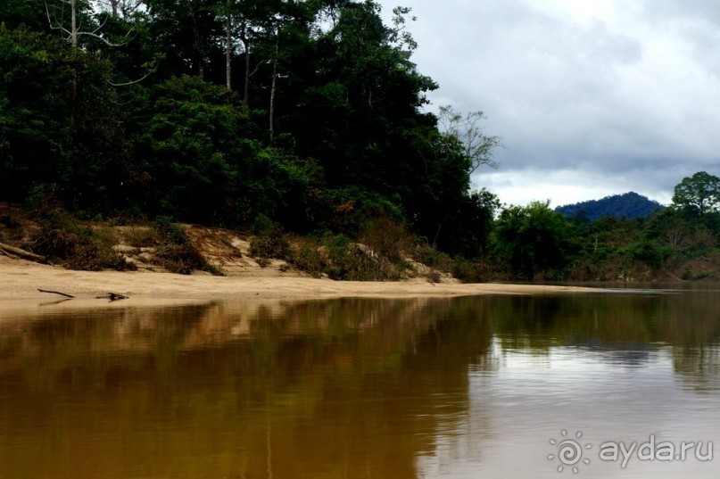 Несостявщийся   трек...