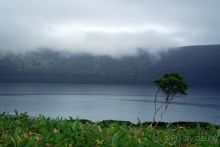 Там за туманами берег наш родной. о. Кунашир.