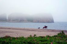 Там за туманами берег наш родной. о. Кунашир.