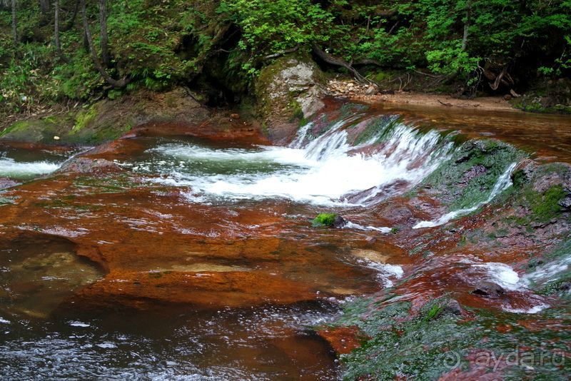 Там за туманами берег наш родной. о. Кунашир.