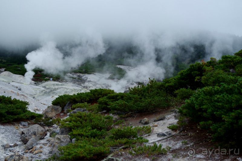 Там за туманами берег наш родной. о. Кунашир.