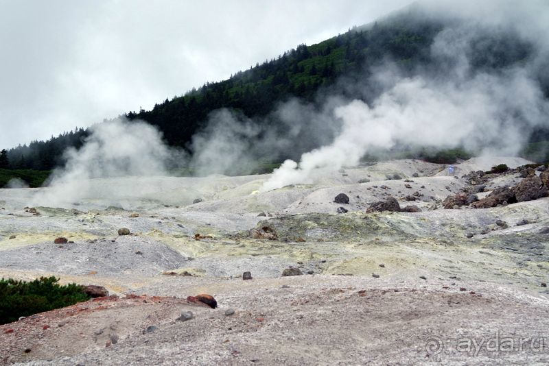 Там за туманами берег наш родной. о. Кунашир.