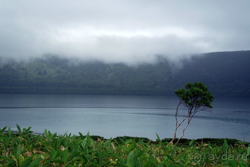 Там за туманами берег наш родной. о. Кунашир.