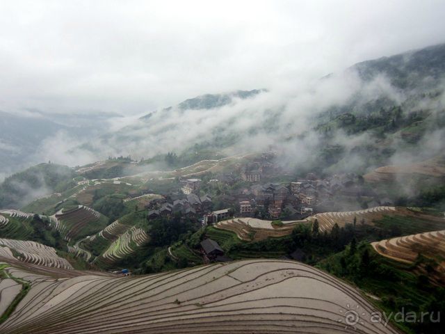 " Девять  лраконов  и  пять  тигров"