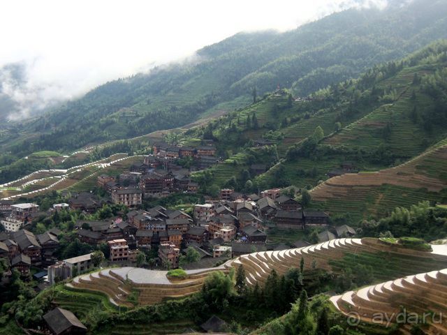 " Девять  лраконов  и  пять  тигров"