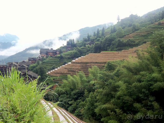 " Девять  лраконов  и  пять  тигров"