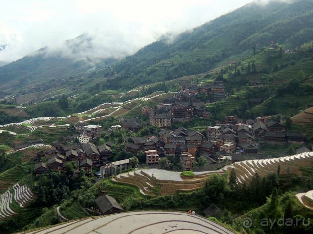 " Девять  лраконов  и  пять  тигров"