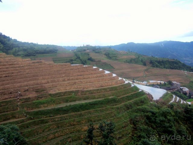 " Девять  лраконов  и  пять  тигров"