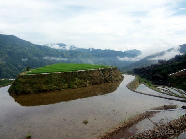 " Девять  лраконов  и  пять  тигров"