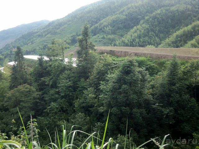 " Девять  лраконов  и  пять  тигров"