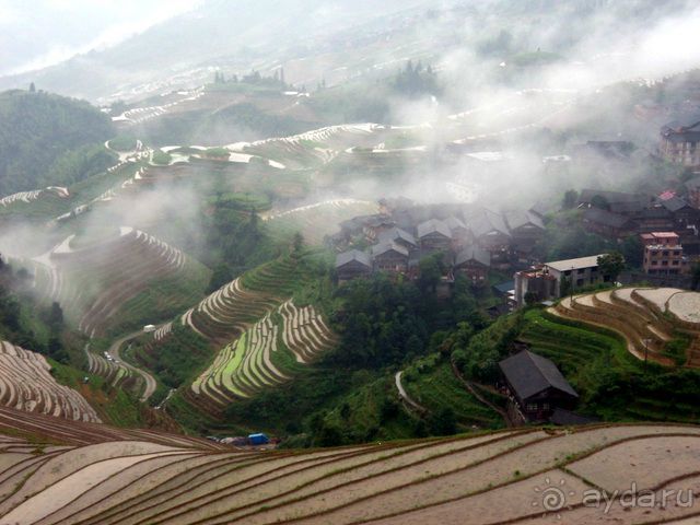 " Девять  лраконов  и  пять  тигров"