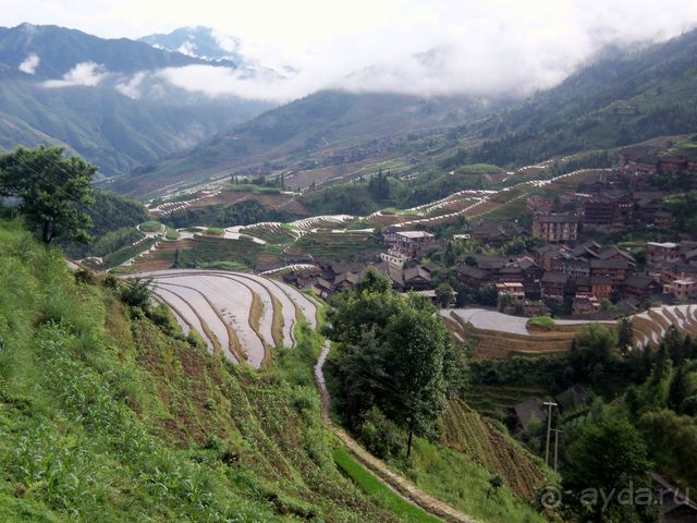 " Девять  лраконов  и  пять  тигров"