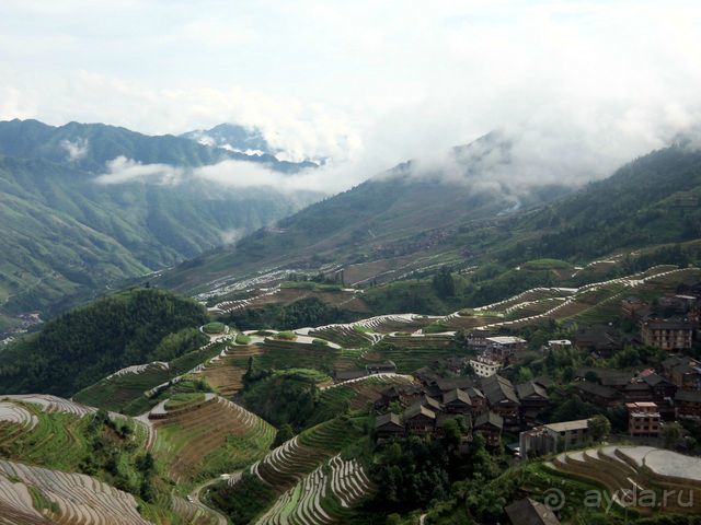 " Девять  лраконов  и  пять  тигров"