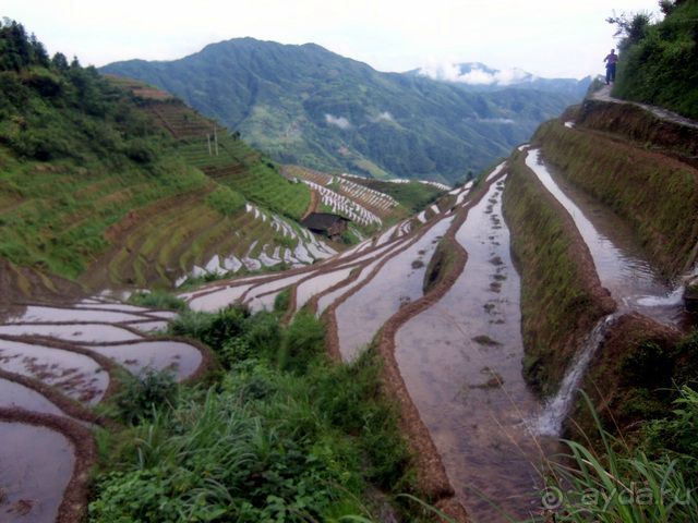 " Девять  лраконов  и  пять  тигров"