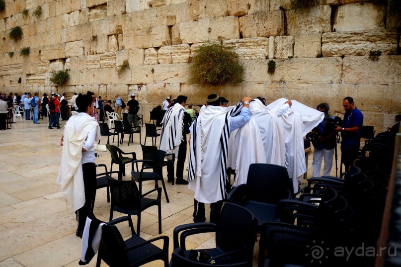 Над твердью голубой есть город золотой.