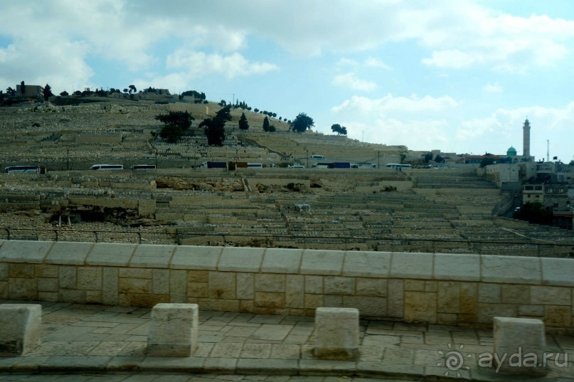 Над твердью голубой есть город золотой.