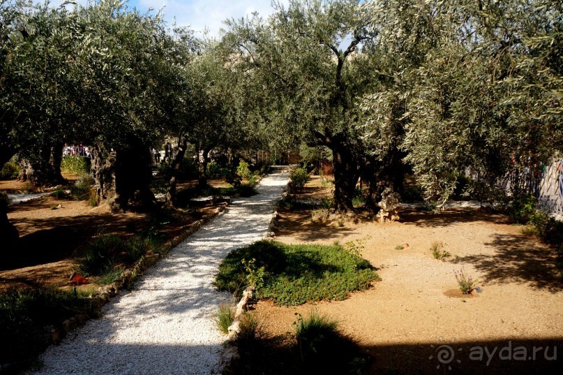 Над твердью голубой есть город золотой.