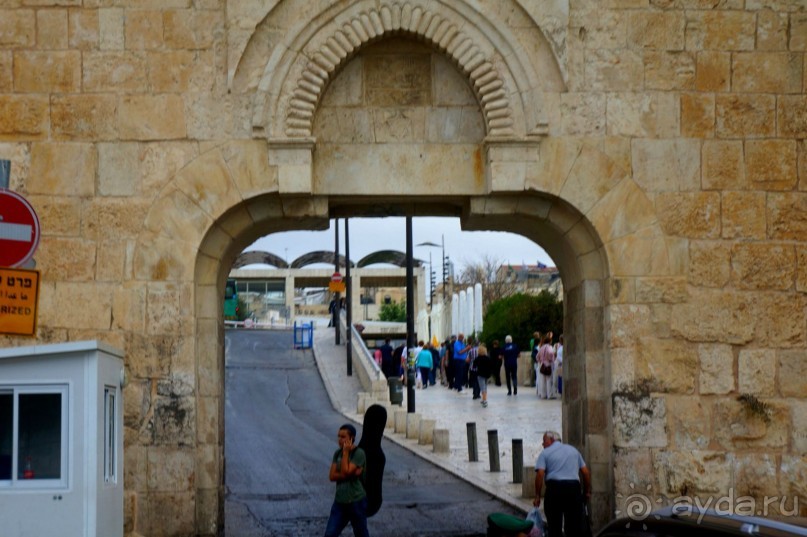 Над твердью голубой есть город золотой.