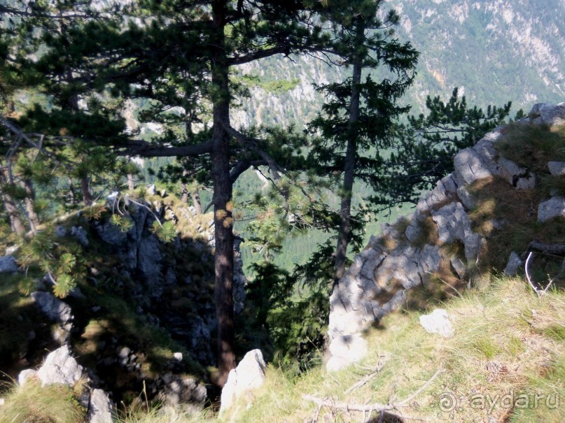 Автостопом по Черногории. Часть третья.