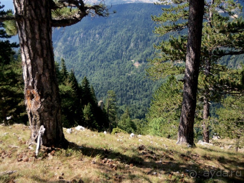 Автостопом по Черногории. Часть третья.