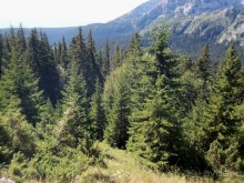 Автостопом по Черногории. Часть третья.