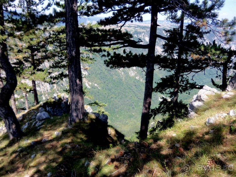 Автостопом по Черногории. Часть третья.