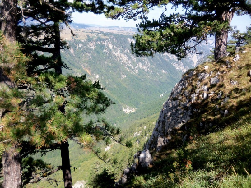 Автостопом по Черногории. Часть третья.