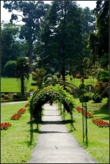 Сад -  мечта  королей...