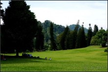 Сад -  мечта  королей...